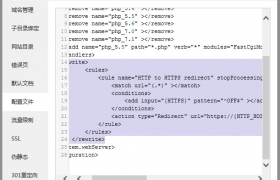 宝塔bt网站环境在WIN系统中强制开启HTTPS/SSL跳转的方法