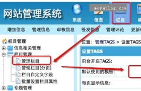 帝国CMS TAGS调用详解